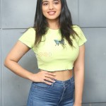 Actress Ketika Sharma at Romantic Movie Interview Photos 15 Actress Ketika Sharma at Romantic Movie Interview Photos 15