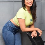 Actress Ketika Sharma at Romantic Movie Interview Photos 17 Actress Ketika Sharma at Romantic Movie Interview Photos 17