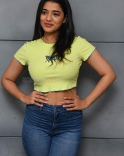 Actress Ketika Sharma at Romantic Movie Interview Photos 28 Actress Ketika Sharma at Romantic Movie Interview Photos 28