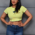 Actress Ketika Sharma at Romantic Movie Interview Photos 28 Actress Ketika Sharma at Romantic Movie Interview Photos 28