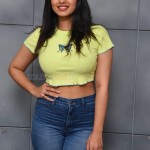 Actress Ketika Sharma at Romantic Movie Interview Photos 33 Actress Ketika Sharma at Romantic Movie Interview Photos 33