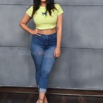 Actress Ketika Sharma at Romantic Movie Interview Photos 34 Actress Ketika Sharma at Romantic Movie Interview Photos 34