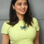 Actress Ketika Sharma at Romantic Movie Interview Photos 51 Actress Ketika Sharma at Romantic Movie Interview Photos 51