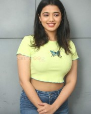 Actress Ketika Sharma at Romantic Movie Interview Photos 53 Actress Ketika Sharma at Romantic Movie Interview Photos 53