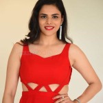 Actress Kriti Garg At 2 Hours Love Trailer Launch Photos 13 Actress Kriti Garg At 2 Hours Love Trailer Launch Photos 13