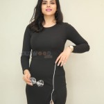 Actress Kriti Garg at Neetho Movie Teaser Launch Pictures 15 Actress Kriti Garg at Neetho Movie Teaser Launch Pictures 15