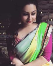 Actress Namitha Glamourous Saree Pictures 02