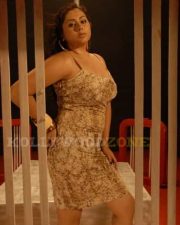 Actress Namitha Hot And Sexy Pictures 19