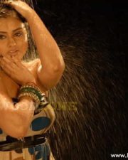 Actress Namitha Hot And Sexy Pictures 37