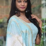 Actress Natti Karuna At Dsj Movie Teaser Launch Photos 05 Actress Natti Karuna At Dsj Movie Teaser Launch Photos 05
