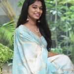 Actress Natti Karuna At Dsj Movie Teaser Launch Photos 14 Actress Natti Karuna At Dsj Movie Teaser Launch Photos 14