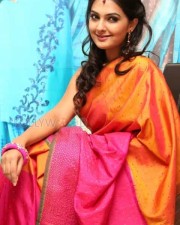Actress Neha Deshpande In Saree Photos 05