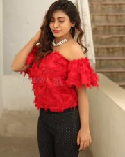 Actress Priya Augustin At Prema Easy Kadu Press Meet Photos 17