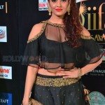 Actress Ritika Singh At Iifa Utsavam Event Pictures 07 Actress Ritika Singh At Iifa Utsavam Event Pictures 07