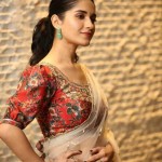 Actress Ruhani Sharma at Nootokka Jillala Andagadu Pre Release Event Photos 10 Actress Ruhani Sharma at Nootokka Jillala Andagadu Pre Release Event Photos 10