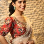 Actress Ruhani Sharma at Nootokka Jillala Andagadu Pre Release Event Photos 11 Actress Ruhani Sharma at Nootokka Jillala Andagadu Pre Release Event Photos 11