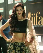 Actress Shubra Aiyappa At Iifa Utsavam Event Pictures 22