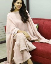Actress Sonam Bajwa Photos 11 Actress Sonam Bajwa Photos 11