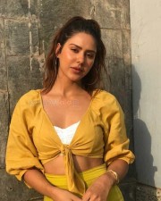 Actress Sonam Bajwa Sexy New Photos 01 Actress Sonam Bajwa Sexy New Photos 01