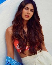 Actress Sonam Bajwa Sexy New Photos 11 Actress Sonam Bajwa Sexy New Photos 11