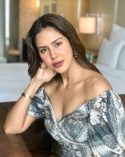 Actress Sonam Bajwa Sexy New Photos 18 Actress Sonam Bajwa Sexy New Photos 18