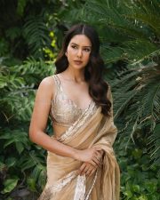Beautiful Sonam Bajwa in a Silk Golden Saree with Gota Border and Sleeveless Blouse Photos 04 Beautiful Sonam Bajwa in a Silk Golden Saree with Gota Border and Sleeveless Blouse Photos 04