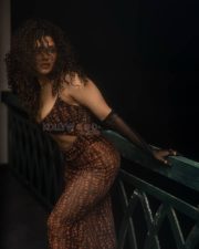 Captivating Ritika Singh in a Brown Figure Hugging Dress with a Cleavage Neckline Pictures 02