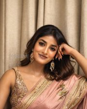 Elegant Actress Dimple Hayathi in a Pink Silk Saree Photos 02 Elegant Actress Dimple Hayathi in a Pink Silk Saree Photos 02