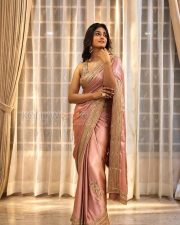 Elegant Actress Dimple Hayathi in a Pink Silk Saree Photos 03 Elegant Actress Dimple Hayathi in a Pink Silk Saree Photos 03