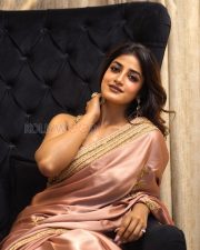 Elegant Actress Dimple Hayathi in a Pink Silk Saree Photos 04 Elegant Actress Dimple Hayathi in a Pink Silk Saree Photos 04