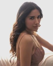 Elegant Ruhani Sharma in a Chocolate Brown Camisole Satin Slip Dress Photos 04