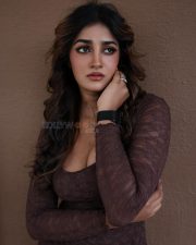 Enigmatic Actress Dimple Hayathi in a Brown Lace Long Sleeve Dress Photos 01 Enigmatic Actress Dimple Hayathi in a Brown Lace Long Sleeve Dress Photos 01