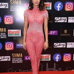 Erica Fernandes at SIIMA Awards 2021 Day 2 Photos 04 Erica Fernandes at SIIMA Awards 2021 Day 2 Photos 04