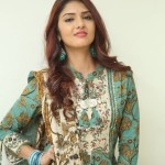 Gayathri R Suresh at Nenuleni Naa Premakatha Trailer Launch Photos 01 Gayathri R Suresh at Nenuleni Naa Premakatha Trailer Launch Photos 01