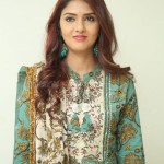 Gayathri R Suresh at Nenuleni Naa Premakatha Trailer Launch Photos 04 Gayathri R Suresh at Nenuleni Naa Premakatha Trailer Launch Photos 04
