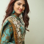 Gayathri R Suresh at Nenuleni Naa Premakatha Trailer Launch Photos 07 Gayathri R Suresh at Nenuleni Naa Premakatha Trailer Launch Photos 07