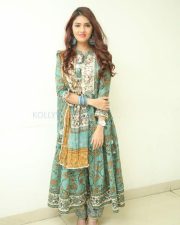 Gayathri R Suresh at Nenuleni Naa Premakatha Trailer Launch Photos 08