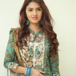 Gayathri R Suresh at Nenuleni Naa Premakatha Trailer Launch Photos 10 Gayathri R Suresh at Nenuleni Naa Premakatha Trailer Launch Photos 10