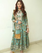 Gayathri R Suresh at Nenuleni Naa Premakatha Trailer Launch Photos 11