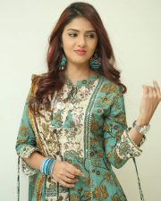 Gayathri R Suresh at Nenuleni Naa Premakatha Trailer Launch Photos 12