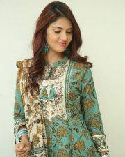 Gayathri R Suresh at Nenuleni Naa Premakatha Trailer Launch Photos 15