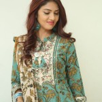 Gayathri R Suresh at Nenuleni Naa Premakatha Trailer Launch Photos 15 Gayathri R Suresh at Nenuleni Naa Premakatha Trailer Launch Photos 15