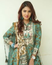 Gayathri R Suresh at Nenuleni Naa Premakatha Trailer Launch Photos 16