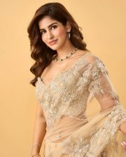 Glamorous Actress Sakshi Malik in a Cream Embroidered Net Saree Photos 04