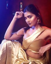Glamorous Dharsha Gupta in a Golden Saree with Strapless Blouse Photos 08 Glamorous Dharsha Gupta in a Golden Saree with Strapless Blouse Photos 08