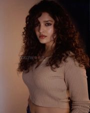 Gorgeous Ritika Singh in a Half Sleeve Light Brown Crop Top Pictures 02