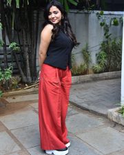 Heroine Ketika Sharma at Single Movie Success Meet Photos 06