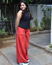 Heroine Ketika Sharma at Single Movie Success Meet Photos 06