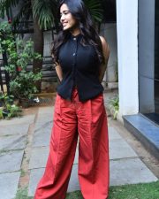 Heroine Ketika Sharma at Single Movie Success Meet Photos 26