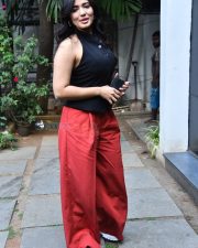 Heroine Ketika Sharma at Single Movie Success Meet Photos 28